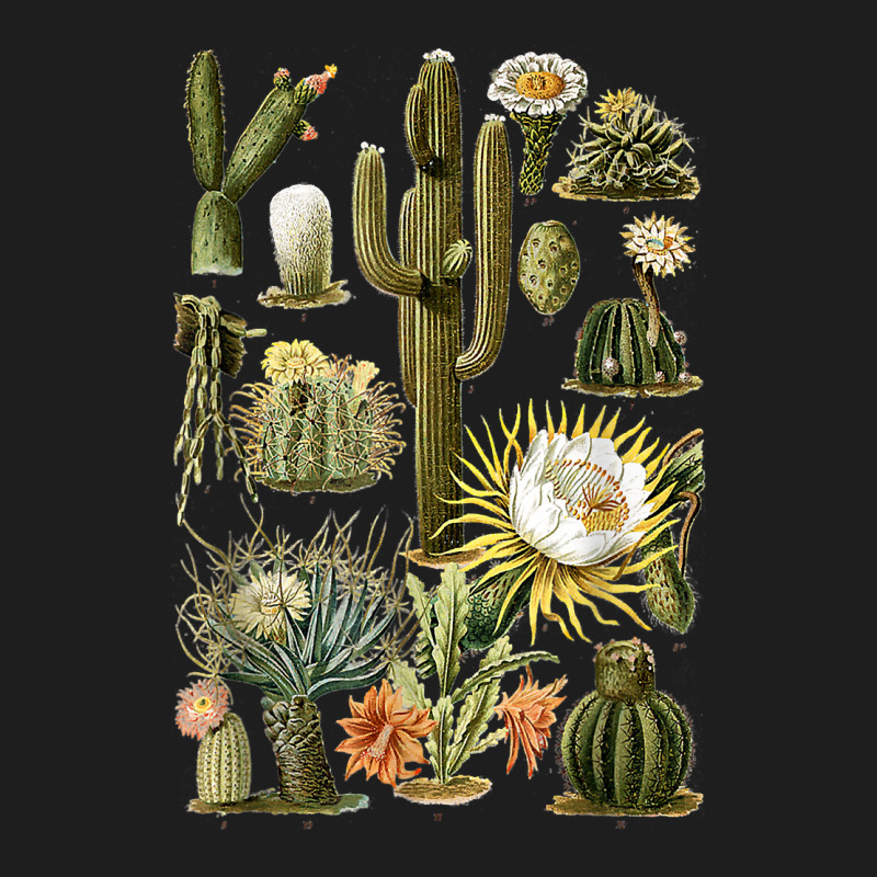 Succulent Plants Cactus Wildflowers Botanicals For Gardening T Shirt Classic T-shirt by joeykujalat4t | Artistshot