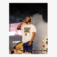 Frank Live Stage Concert Ladies Fitted T-shirt | Artistshot