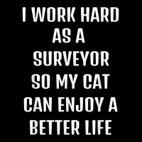 I Worked Hard As A Surveyor For My Cats Lifestyle T Shirt Graphic T-shirt | Artistshot