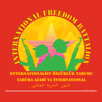 Ypg   Ypj   Pkk   International Freedom Battalion   Aesthetic   Kurdis Graphic T-shirt | Artistshot