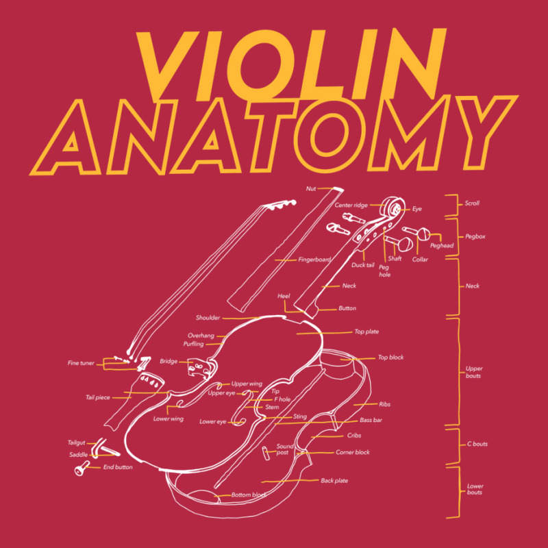 Twoset Violin   Violin Anatomy Drawing Diagram Limited Edition Champion Hoodie by aldbscanetoj | Artistshot