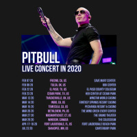 Pitbull Tour Back Flannel Shirt | Artistshot