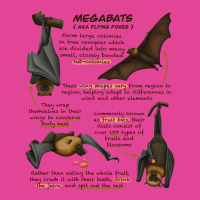 Megabat Fun Animal Fruit Bat Facts Kids Pullover Stars T-shirt | Artistshot