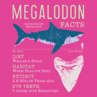 Megalodon Facts Kids Pullover E T-shirt | Artistshot