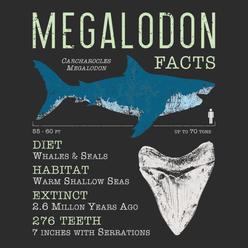 Megalodon Facts Kids Pullover E Exclusive T-shirt by nanedohoomae | Artistshot