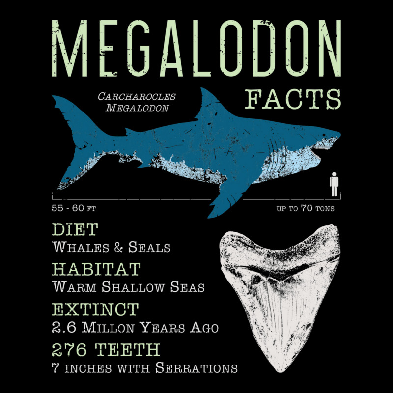 Megalodon Facts Kids Pullover E Fleece Short by nanedohoomae | Artistshot