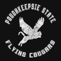 Poughkeepsie State Flying Cougars Baby Bibs | Artistshot