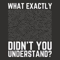 What Exactly Didn't You Understand Electronics Pcb Engineer T Shirt Champion Hoodie | Artistshot