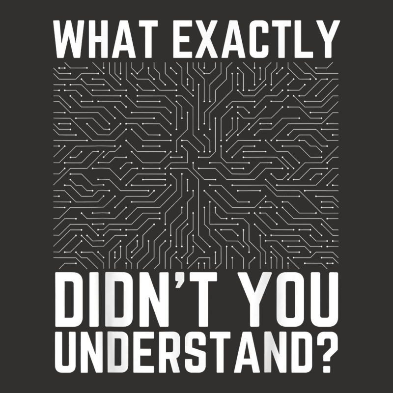 What Exactly Didn't You Understand Electronics Pcb Engineer T Shirt Champion Hoodie by jessamynb4pru | Artistshot