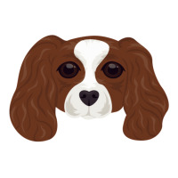 Cavalier King Charles Spaniel Crewneck Sweatshirt | Artistshot