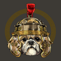 Shih Tzu In Roman Helmet Centurion Legionnaire Dog Lover 224 Bucket Hat | Artistshot