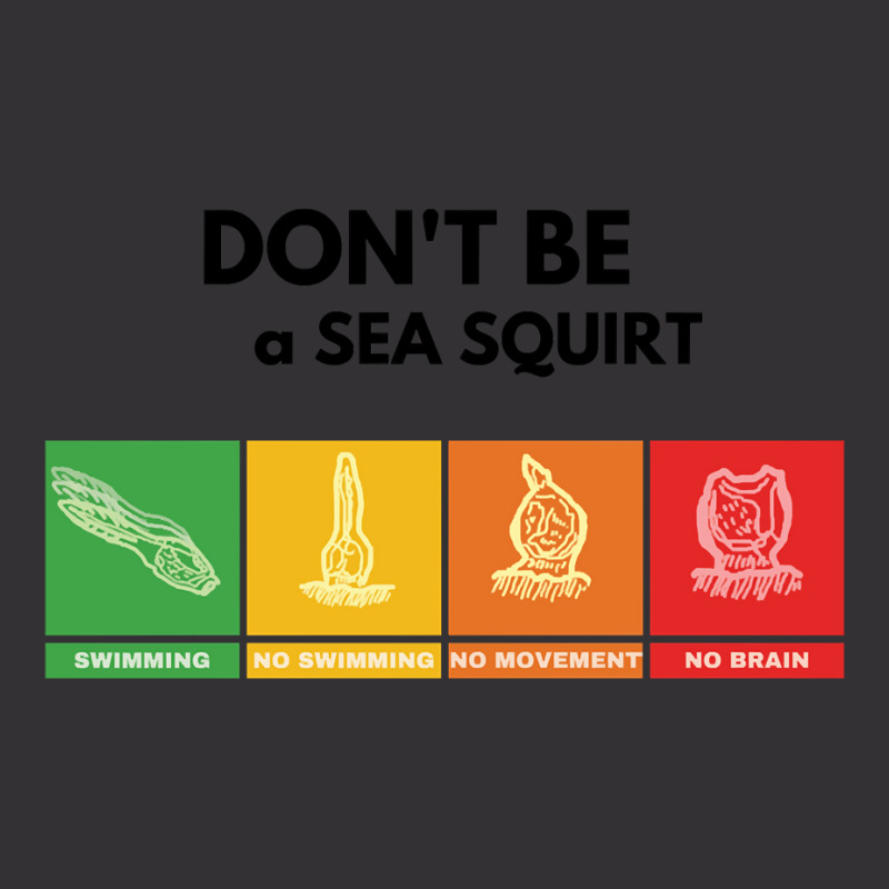 Don't Be A Sea Squirt Vintage Hoodie And Short Set by DanielPatrickGrasseschi | Artistshot