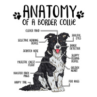 Funny Anatomy Border Collie Dog Lover Gift T Shirt Toddler T-shirt | Artistshot