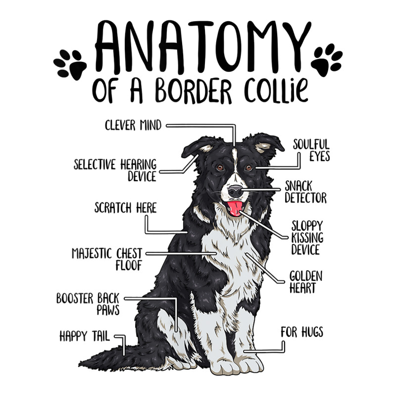 Funny Anatomy Border Collie Dog Lover Gift T Shirt Toddler T-shirt by TeaMenShop | Artistshot