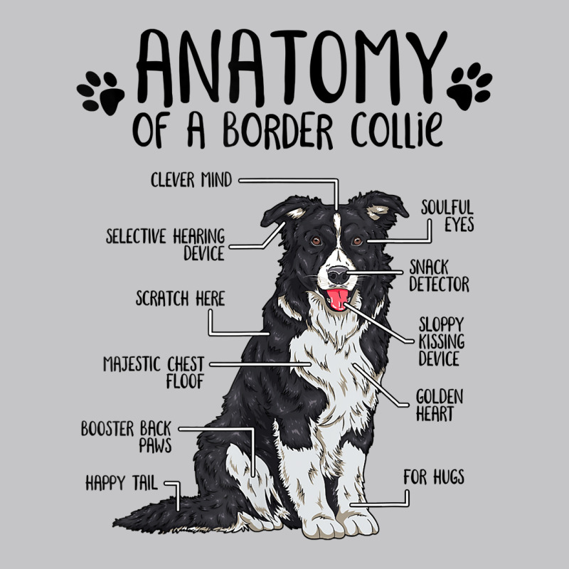 Funny Anatomy Border Collie Dog Lover Gift T Shirt Baby Bodysuit by TeaMenShop | Artistshot