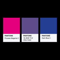 Lgbt Color Pantone Pallete Bisexual Community Design Classic Men's 3/4 Sleeve Pajama Set | Artistshot