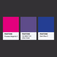 Lgbt Color Pantone Pallete Bisexual Community Design Classic Vintage Hoodie | Artistshot