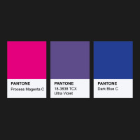 Lgbt Color Pantone Pallete Bisexual Community Design Classic Hoodie & Jogger Set | Artistshot