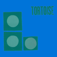 Tortoise Graphic T-shirt | Artistshot