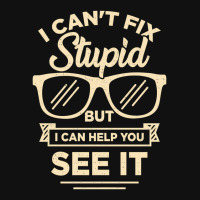 I Cant Fix Stupid But I Can Help You See It Ornament | Artistshot