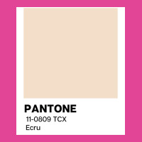 Pantone Ecru Poster Love T-shirt | Artistshot