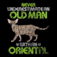 An Old Man With An Oriental Cat Funny Lightweight Hoodie | Artistshot