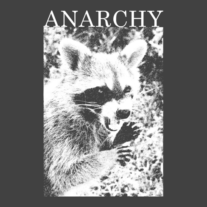 Anarchy Raccoon Vintage T-Shirt by MeganArtist | Artistshot