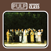 Pulp Different Class 1 T-shirt | Artistshot