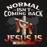 Normal Isnt Coming Back But Jesus Is Revealing Revelation 22 Flannel Shirt | Artistshot