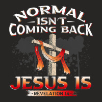 Normal Isnt Coming Back But Jesus Is Revealing Revelation 22 Ladies Fitted T-shirt | Artistshot