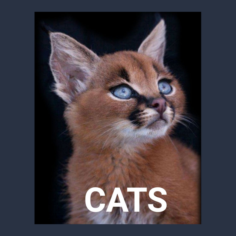 Animals Cats T-shirt | Artistshot
