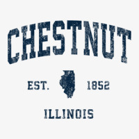 Chestnut Illinois Il Vintage Athletic Navy Sports Design Ladies Fitted T-shirt | Artistshot