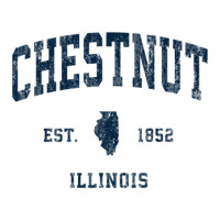 Chestnut Illinois Il Vintage Athletic Navy Sports Design Maternity Scoop Neck T-shirt | Artistshot