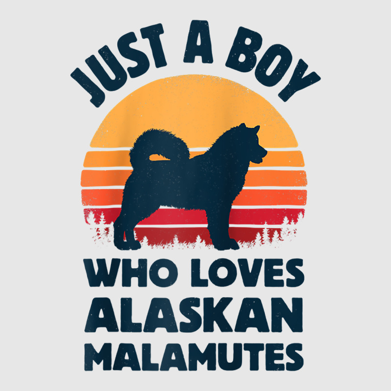 Alaskan Malamute Just A Boy Who Loves Retro Vintage Sunset Raglan Base Hoodie & Jogger Set | Artistshot