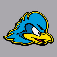 Delaware Blue Hens Youth 3/4 Sleeve | Artistshot