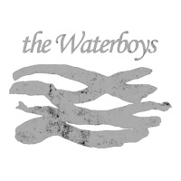 The Waterboys   Nature V-neck Tee | Artistshot