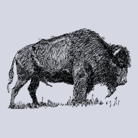 Buffalo Bison Familly Sketch Fleece Short | Artistshot