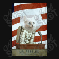 Mr Pebbles Graphic T-shirt | Artistshot