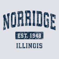 Norridge Illinois Il Vintage Athletic Sports Design Bucket Hat | Artistshot