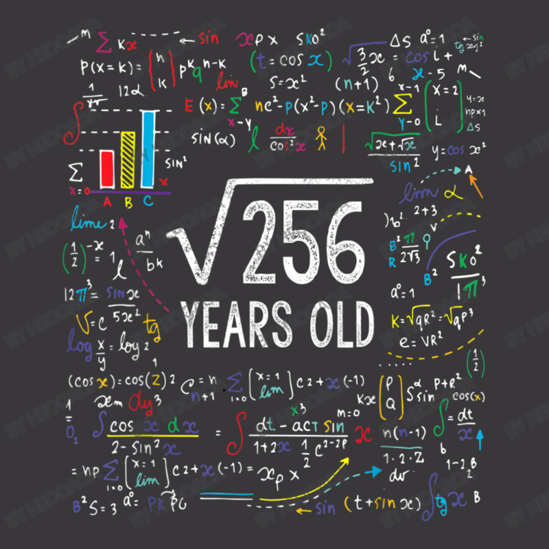 16th Birthday 16 Year Old Gifts Math Ladies Curvy T-shirt | Artistshot