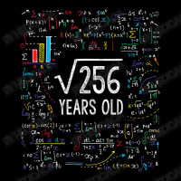 16th Birthday 16 Year Old Gifts Math Cropped Hoodie | Artistshot