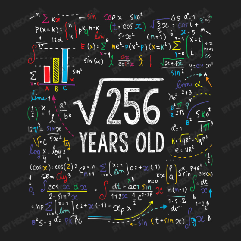 16th Birthday 16 Year Old Gifts Math Ladies Polo Shirt | Artistshot