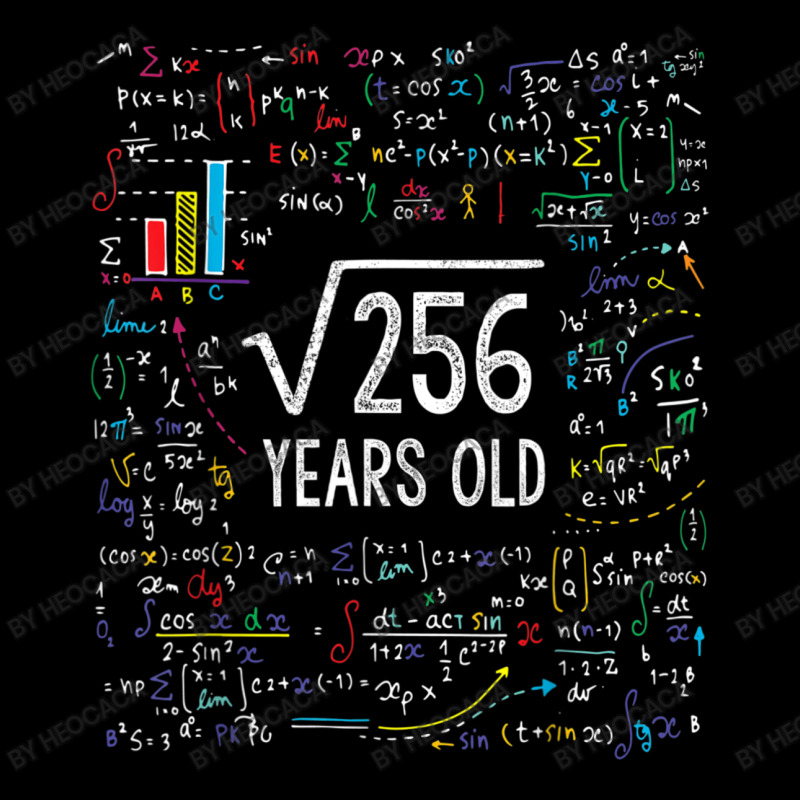16th Birthday 16 Year Old Gifts Math Legging | Artistshot