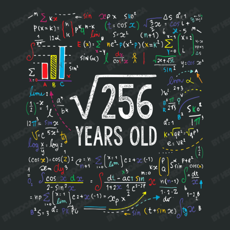 16th Birthday 16 Year Old Gifts Math Women's Triblend Scoop T-shirt | Artistshot