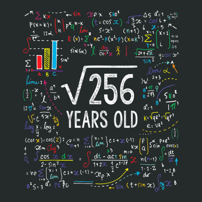 16th Birthday 16 Year Old Gifts Math Women's Triblend Scoop T-shirt | Artistshot
