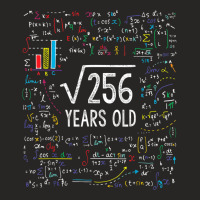 16th Birthday 16 Year Old Gifts Math Ladies Fitted T-shirt | Artistshot