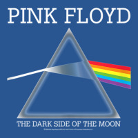 The Dark Side Of The Moon T-shirt | Artistshot