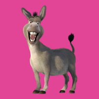 Donkey From Shrek Movie T-shirt | Artistshot