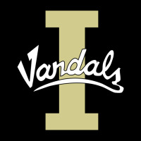 Idaho Vandals Football Team Youth Hoodie | Artistshot