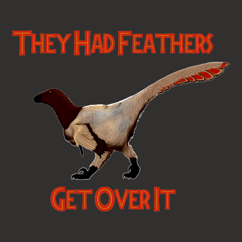 Feathers   Get Over It Champion Hoodie by lingdasilviox | Artistshot